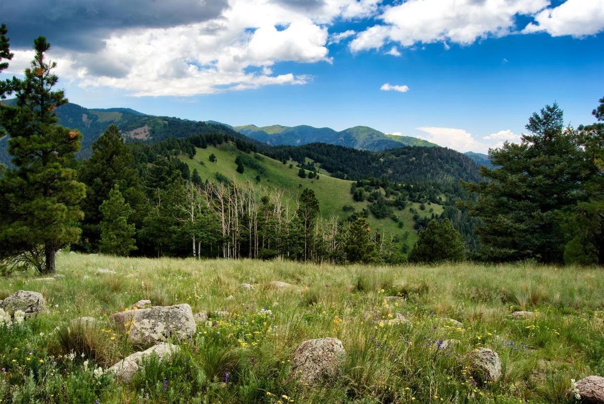 Alpine Cabin, 3 Bedrooms, Deck, Sleeps 8 Руідозо Екстер'єр фото