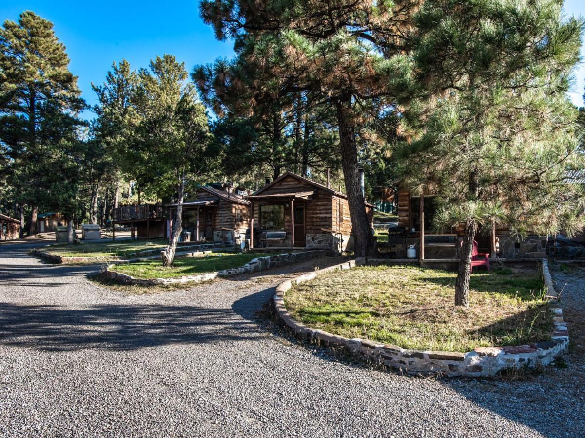 Alpine Cabin, 3 Bedrooms, Deck, Sleeps 8 Руідозо Екстер'єр фото
